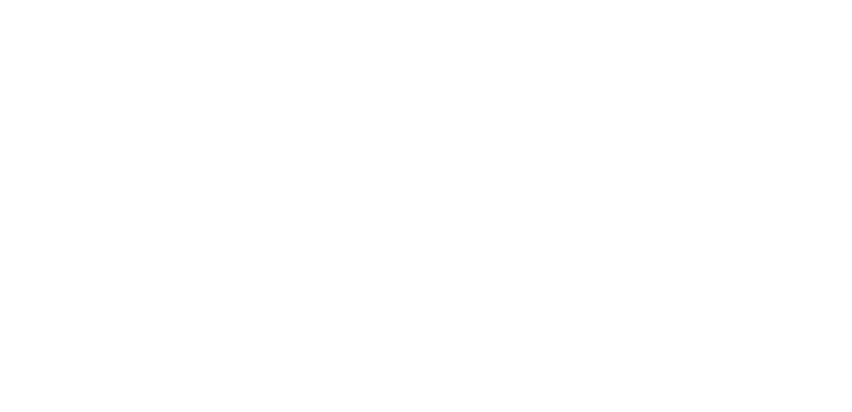 Logo ESDES ucly_blanc_2019